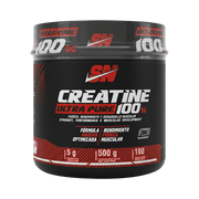 CREATINA IRON 500GR 100 SERV